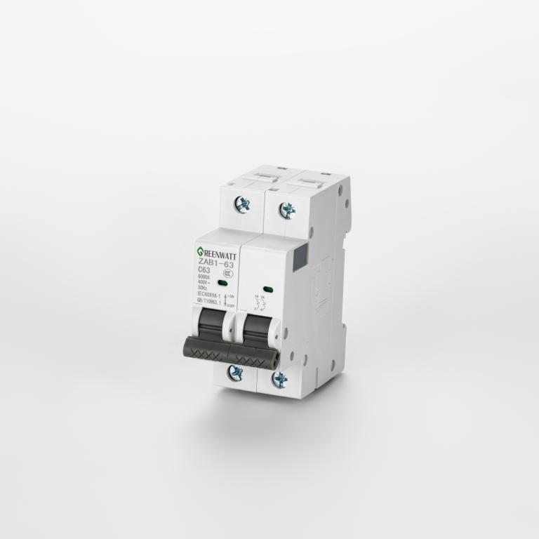 AC-stroomonderbreker Curve C 40A 2P 6kA