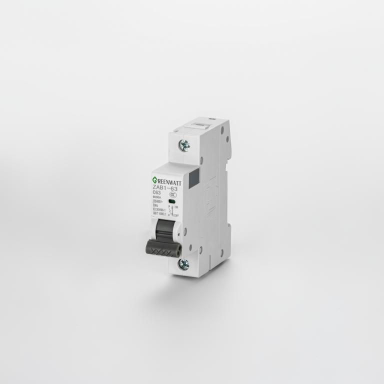 Curve AC-stroomonderbreker C 63A 1P 6kA